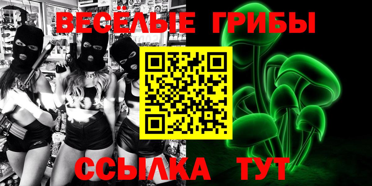 где найти наркотики  Псилоцибиновые грибы прущие грибы  Вход с VPN  Вязьма 