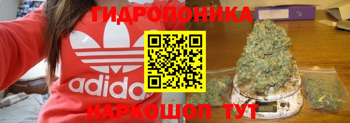 Бошки марихуана гибрид  Вход с VPN  Шишки марихуана ГИДРОПОН  Бошки Шишки тримм  Вязьма 